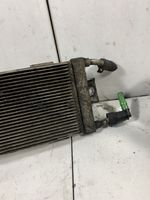 Volkswagen Sharan Radiatore del carburatore (radiatore) 