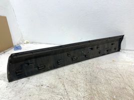 Audi Q7 4L Rivestimento della portiera anteriore (modanatura) 