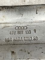 Audi A6 S6 C6 4F Odbój / Amortyzator zderzaka przedniego 4F0807133