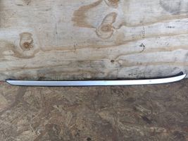 BMW X5 E70 Front door glass trim molding EPDM23