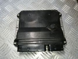 Toyota Avensis T270 Sterownik / Moduł ECU 8966105F10