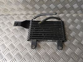 Hyundai Equus LZ Radiateur de direction assistée 254603B000