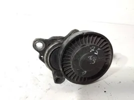 Land Rover Freelander Napinacz paska alternatora 754000