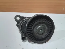 Land Rover Freelander Napinacz paska alternatora 754000