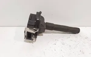 Volkswagen PASSAT B5 High voltage ignition coil 0040100013