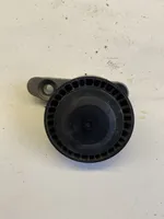 Skoda Fabia Mk3 (NJ) Napinacz paska alternatora 04C145299B