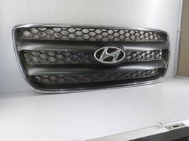 Hyundai Santa Fe Grotelės viršutinės E86512B010