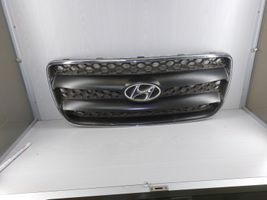 Hyundai Santa Fe Grotelės viršutinės E86512B010