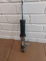 Audi A6 Allroad C5 Rear shock absorber/damper 