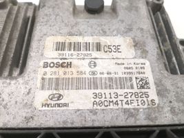 Hyundai Santa Fe Sterownik / Moduł ECU 0281013584