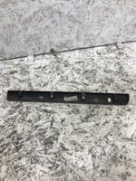 Volvo S60 Rear door trim (molding) 30648378