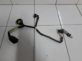 Volvo V70 Cablaggio/impianto del faro/fanale 30763548