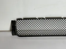 BMW M3 Front bumper lower grill 51112252660