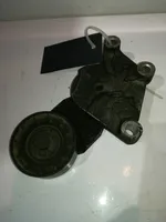 Volvo C30 Generator/alternator belt tensioner 