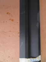 Volvo XC40 Rivestimento della portiera anteriore (modanatura) 