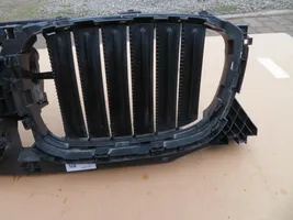 BMW X3 G01 Radiatoru dekoratīvā apdare 749722705