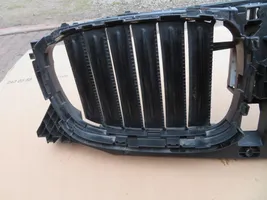 BMW X3 G01 Radiatoru dekoratīvā apdare 749722705