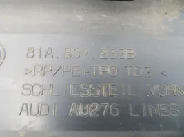 Audi Q2 - Zierleiste Stoßstange Stoßfänger vorne 81A807233B