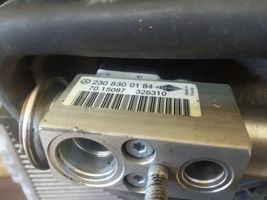 Mercedes-Benz E W211 Radiatore aria condizionata (A/C) (abitacolo) 2308300184