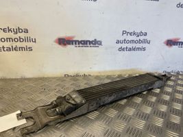 Mercedes-Benz ML W164 Radiatore del servosterzo A1645000100