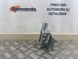 Renault Modus Задняя нижняя петля 864611