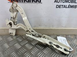 Ford Ecosport Cerniere del vano motore/cofano CN1516800CBRH