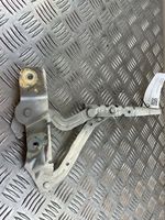 Ford Ecosport Cerniere del vano motore/cofano CN1516800CBRH