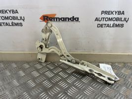 Ford Ecosport Konepellin saranat CN1516800CBRH