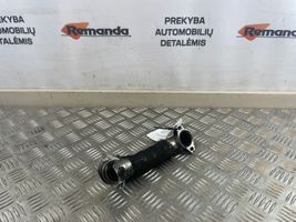 Ford Ecosport Exhaust gas pipe 9674950180