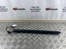 KIA Sorento Azionamento del giunto dell’albero cardanico 81770C5100