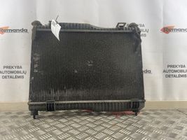 Ford Ecosport Aušinimo skysčio radiatorius 8V518005DG