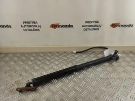 Toyota RAV 4 (XA50) Jambe de force de hayon 6892042020