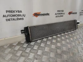 Toyota RAV 4 (XA50) Radiateur 