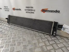 Toyota RAV 4 (XA50) Radiateur 