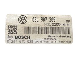 Volkswagen PASSAT B6 Sterownik / Moduł ECU 03L907309