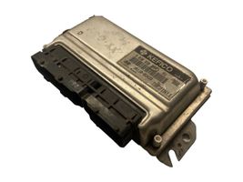 Hyundai Getz Sterownik / Moduł ECU 3911002420