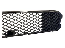 Mitsubishi Lancer X Front bumper lower grill 3H416400A827