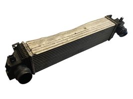 BMW X1 F48 F49 Canale guida dell’aria dell’intercooler 7617598