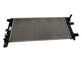 Nissan Leaf I (ZE0) Radiateur de refroidissement 214105SH0A