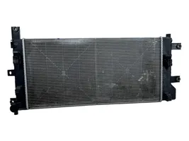 Nissan Leaf I (ZE0) Radiateur de refroidissement 214105SH0A