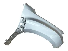 Dacia Duster Fender 