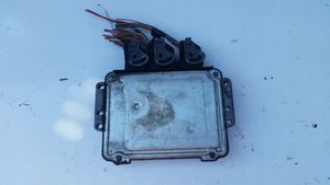 Renault Trafic II (X83) Calculateur moteur ECU 0281011531