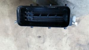 KIA Picanto Sterownik / Moduł ECU 3911104056