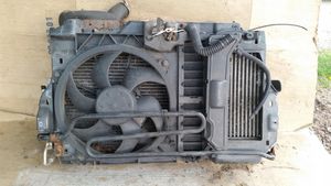 Peugeot 307 Kit Radiateur 9816603980