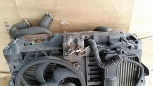 Peugeot 307 Kit Radiateur 9816603980