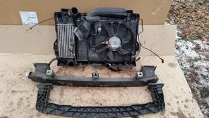 Citroen C5 Radiator support slam panel P96575766809203