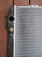 Hyundai Santa Fe Coolant radiator 