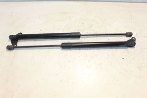 Volkswagen Tiguan Tailgate/trunk strut/damper 5N0827550D