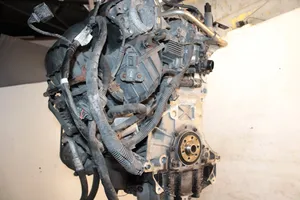 Volkswagen PASSAT B6 Engine BVY