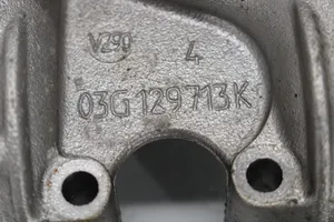 Volkswagen PASSAT B6 Intake manifold 03G129713K